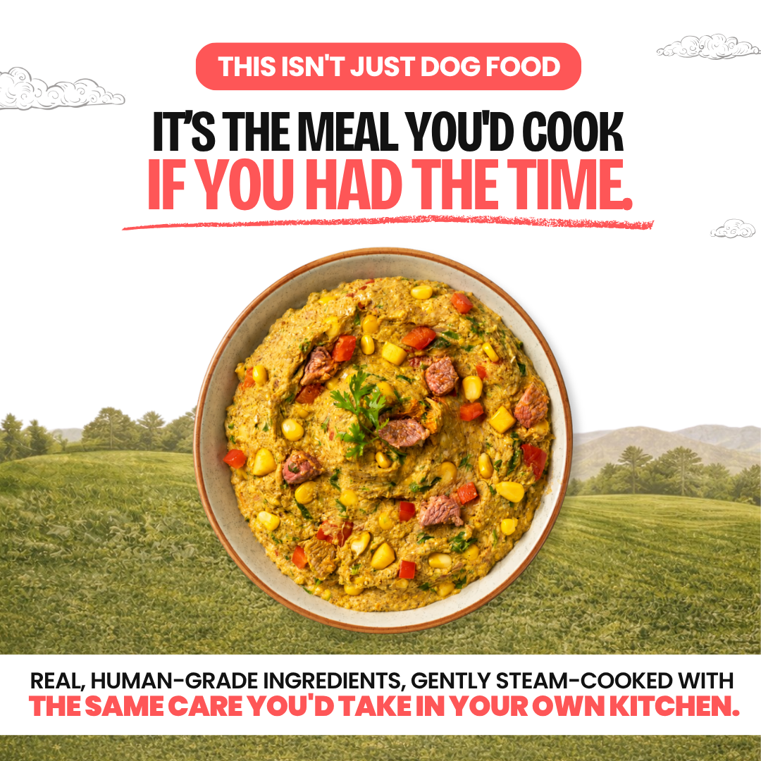 Lamb & Brown Rice — 250g