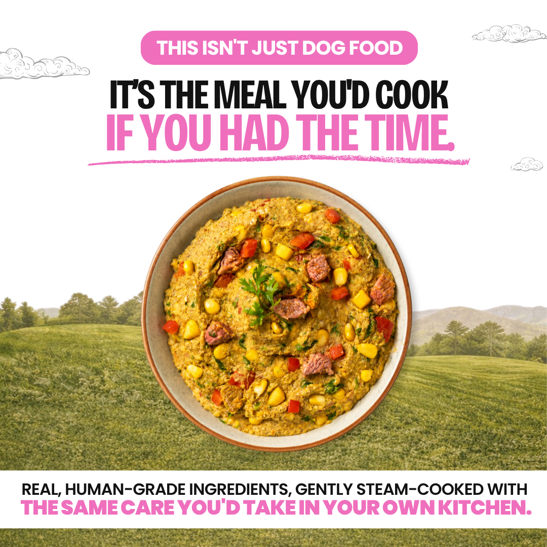 Chicken & Lamb — 400g · Large Dogs