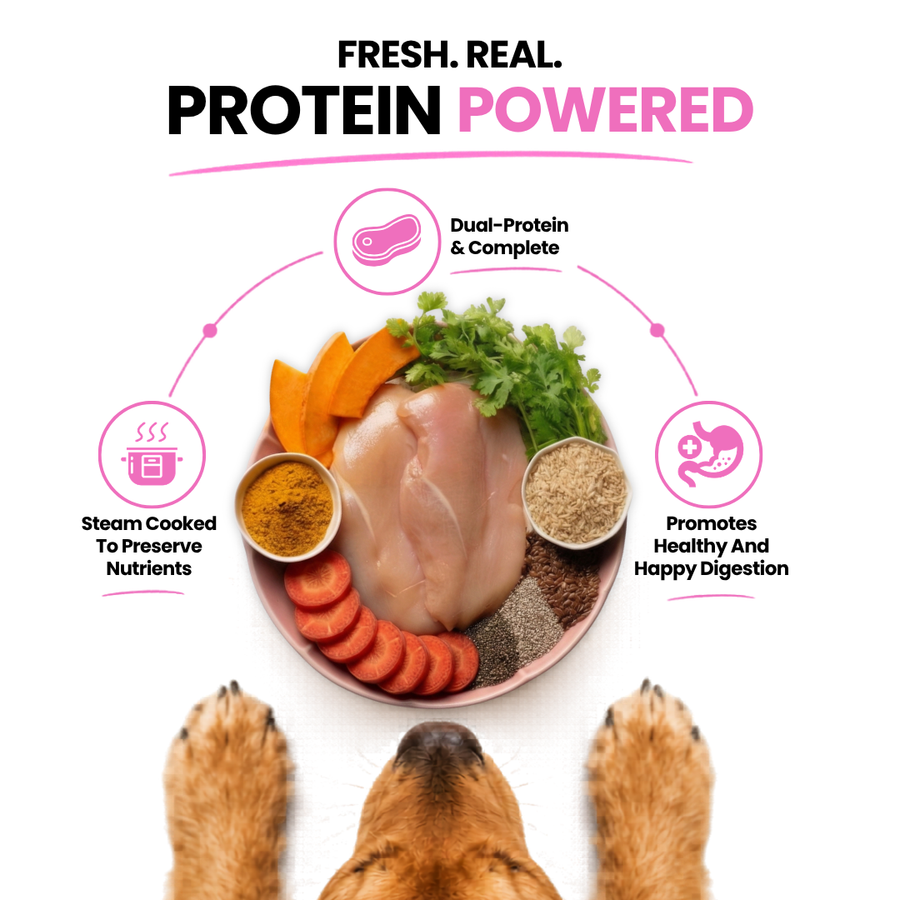 Chicken & Lamb — 250g · Medium Dogs