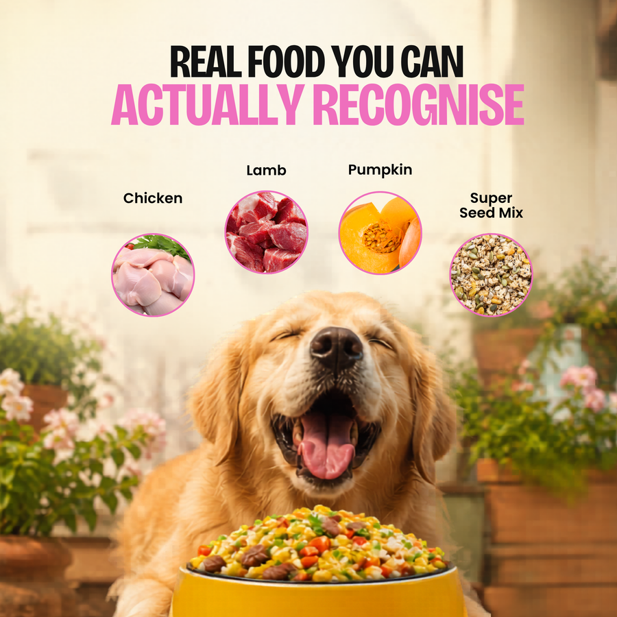 Chicken & Lamb — 250g · Medium Dogs