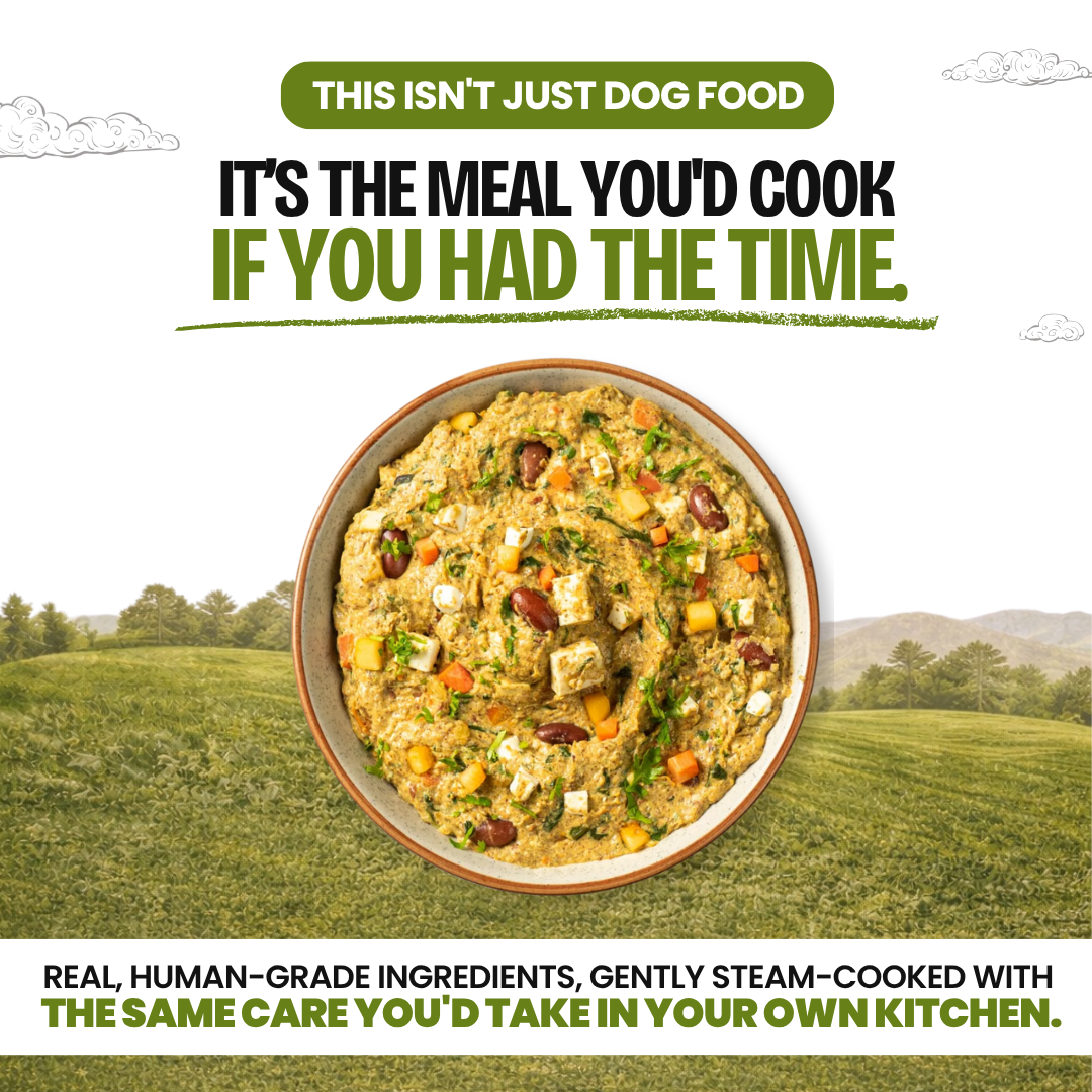 Vegetarian & Brown Rice — 100g