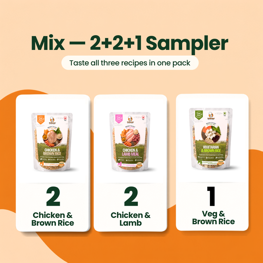 Trial Pack — 5 Meals · Large Dog (400g)