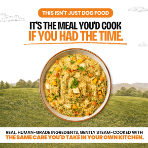 Chicken & Brown Rice — 400g · Pack of 4