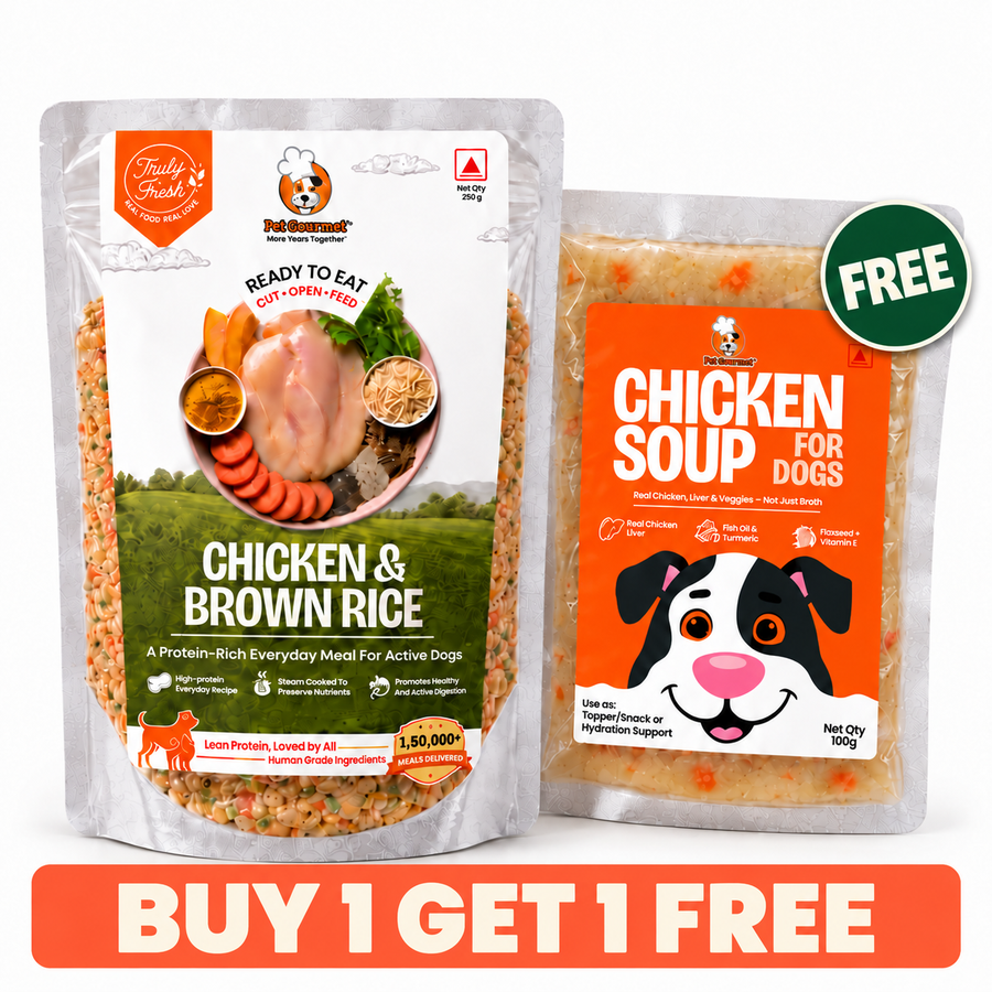 Festive Combo - Chicken meal with free Chicken Soup