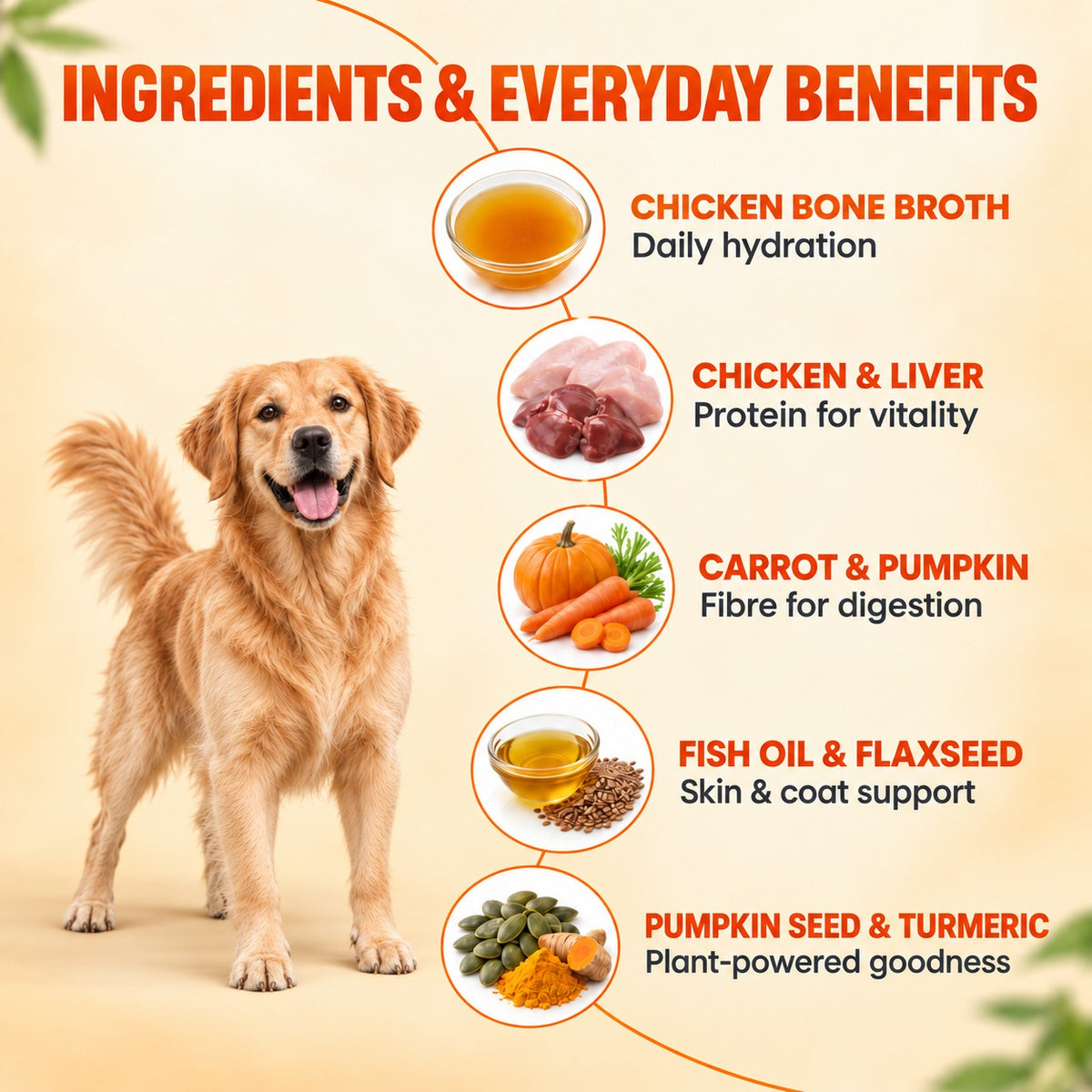 Chicken Soup For Dogs