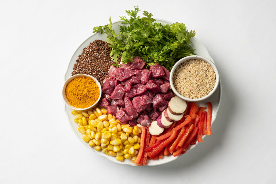 Fresh Meals – Lamb & Rice (2 meals/day)